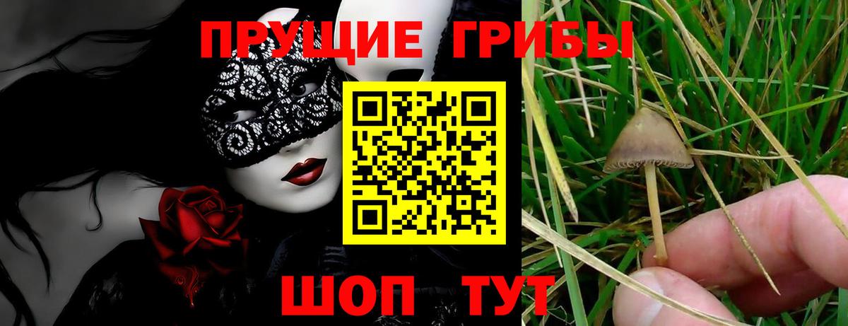 Галлюциногенные грибы мицелий  Вход с VPN  Чернушка 