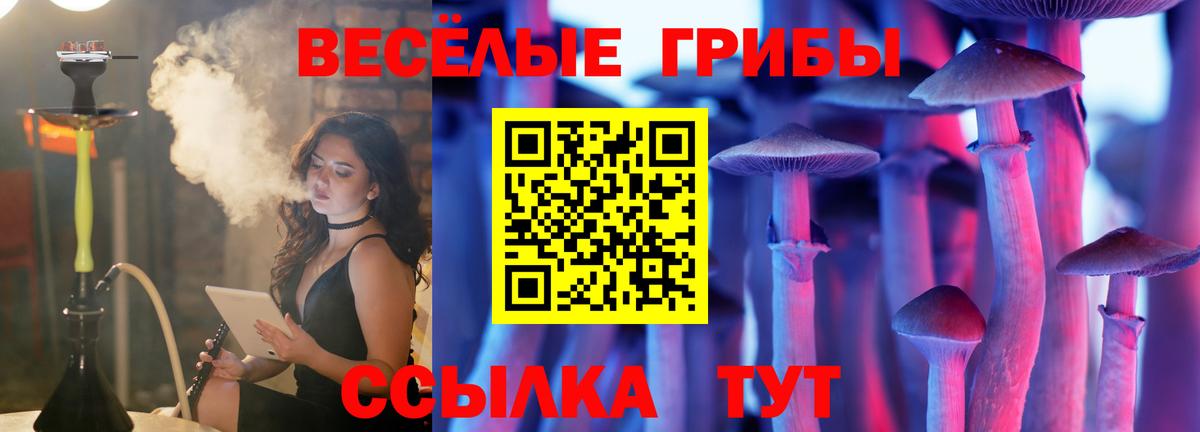 Псилоцибиновые грибы мицелий Чернушка